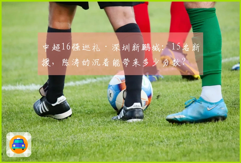 中超16强巡礼·深圳新鹏城：15名新援，陈涛的沉着能带来多少分数？